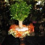 cvecara-ikebana-becej